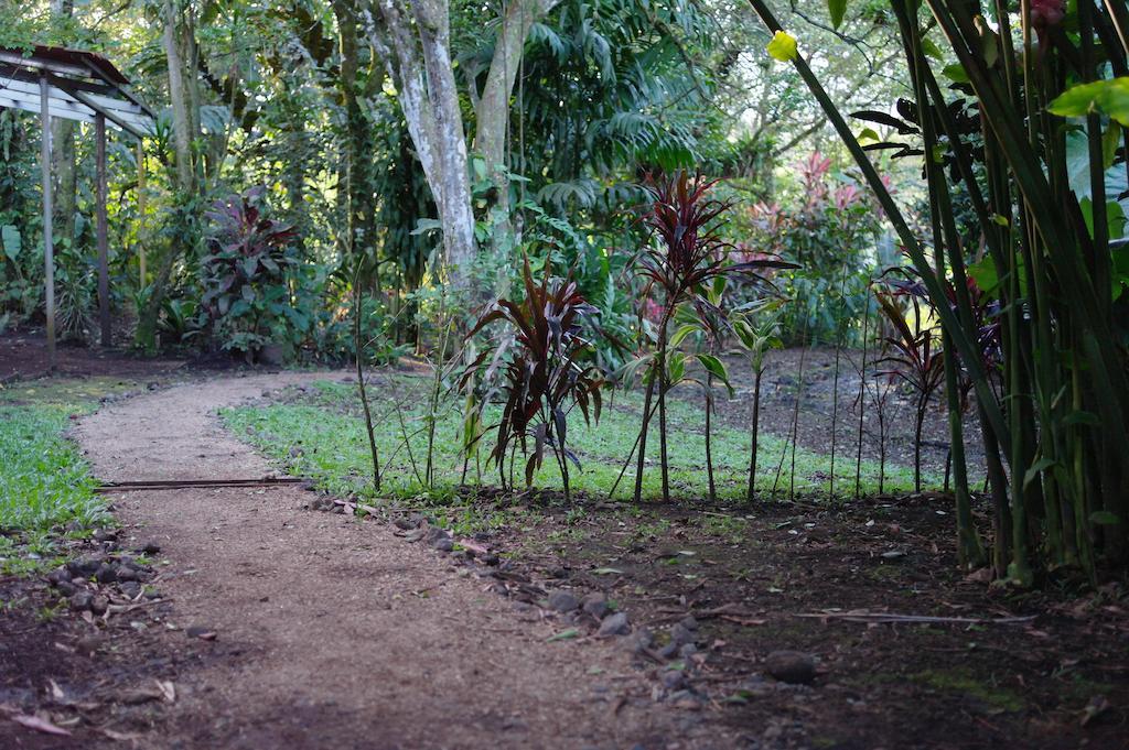 Finca Verde Lodge 比加瓜 外观 照片