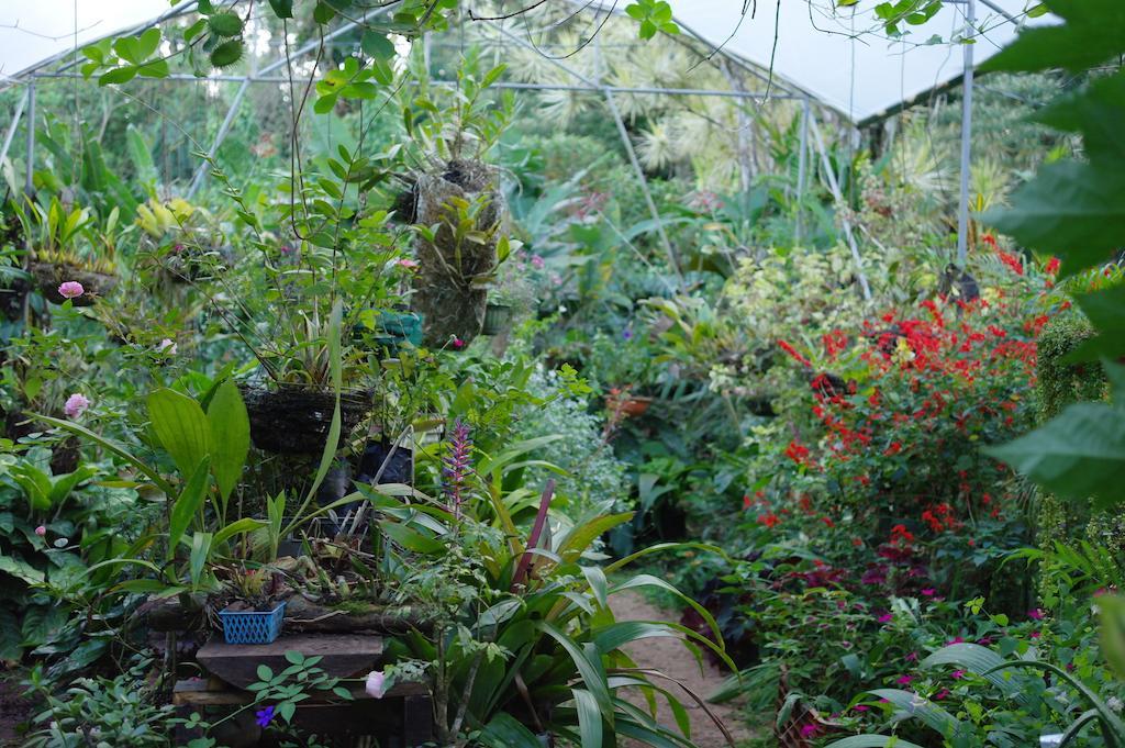 Finca Verde Lodge 比加瓜 外观 照片