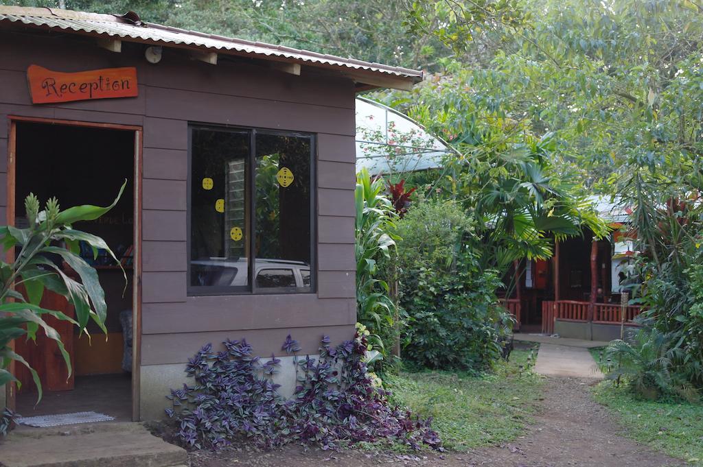 Finca Verde Lodge 比加瓜 外观 照片