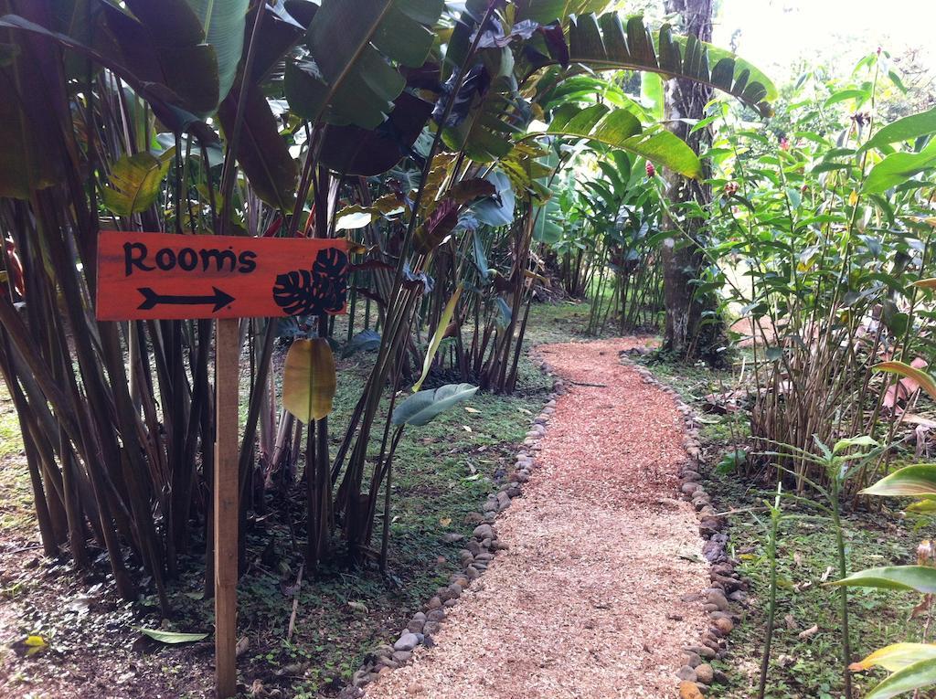 Finca Verde Lodge 比加瓜 外观 照片