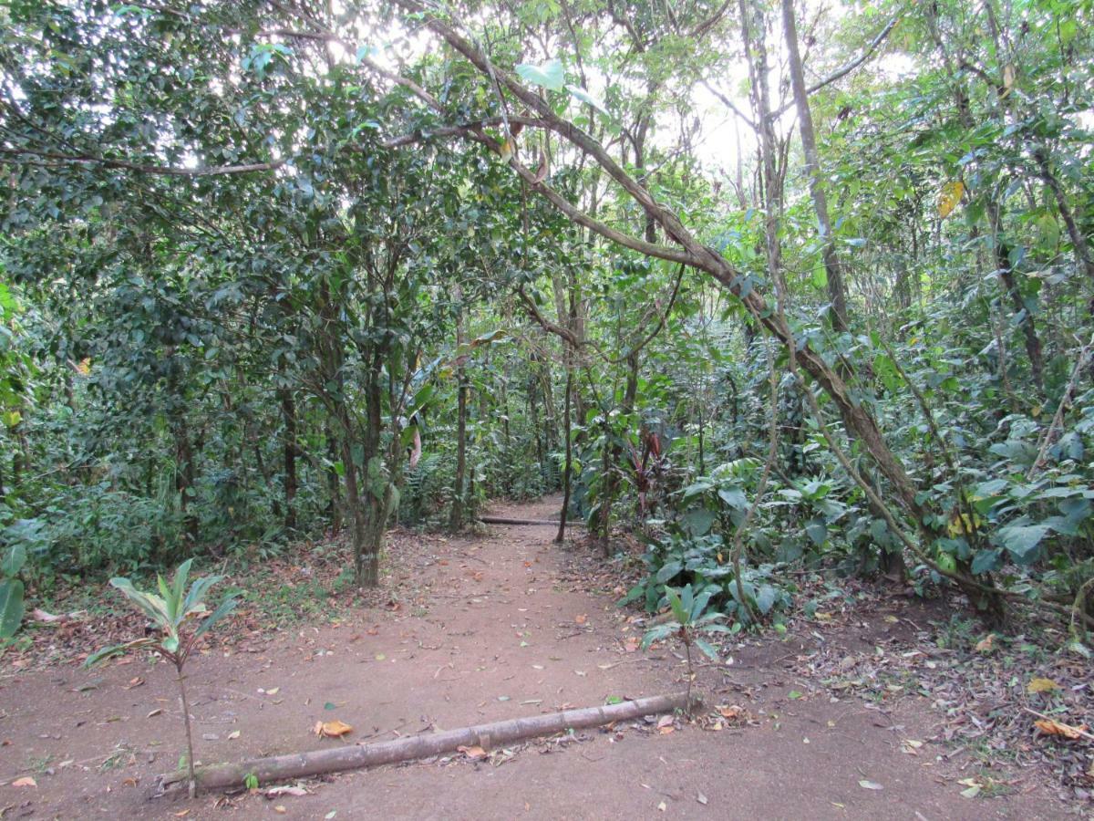 Finca Verde Lodge 比加瓜 外观 照片