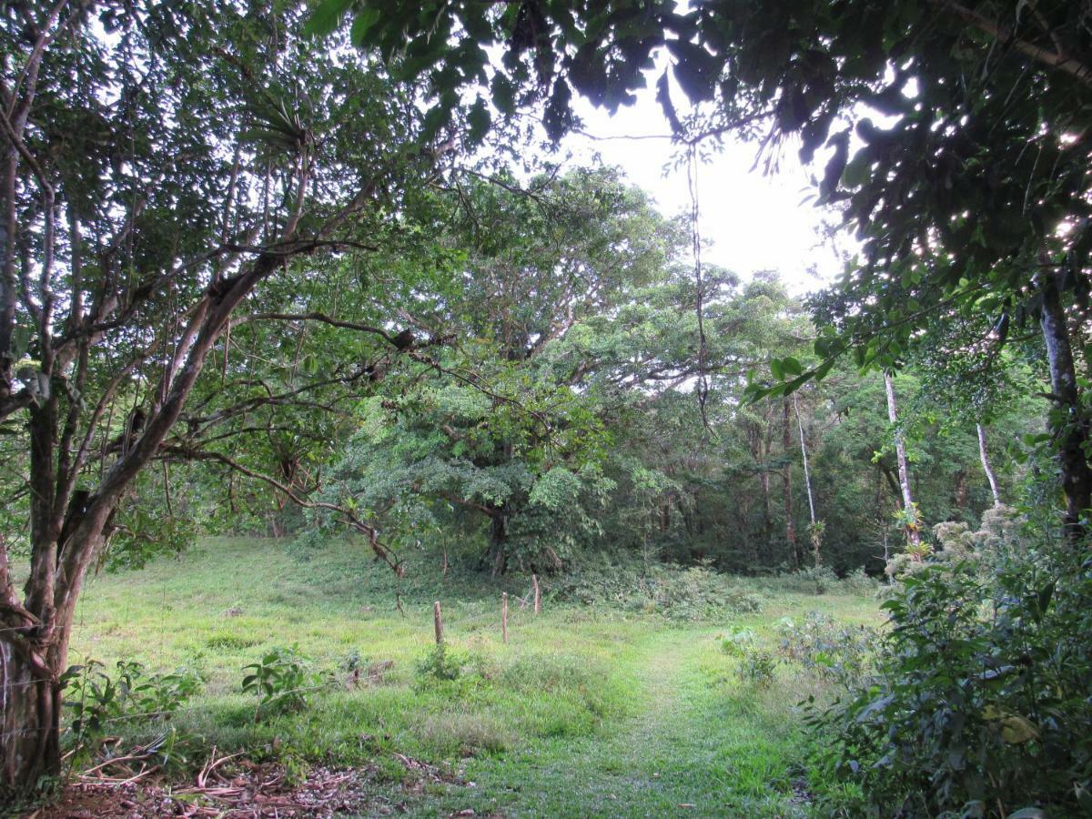 Finca Verde Lodge 比加瓜 外观 照片