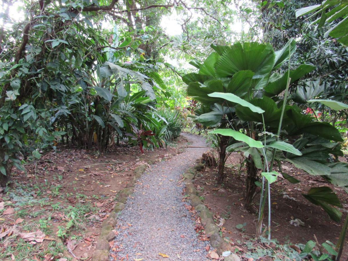 Finca Verde Lodge 比加瓜 外观 照片